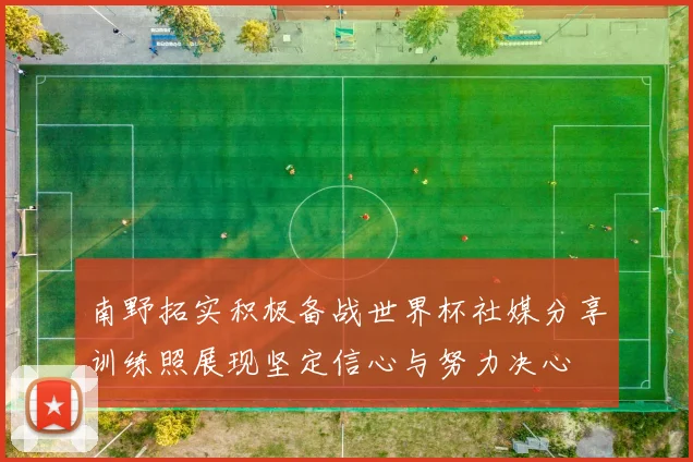 南野拓实积极备战世界杯社媒分享训练照展现坚定信心与努力决心